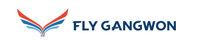 Fly Gangwon
