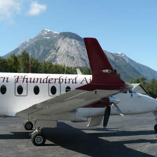 Northern Thunderbird Air aircraft 2