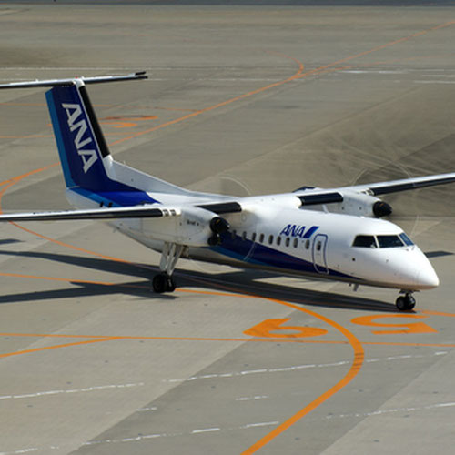 ANA Wings avión 2