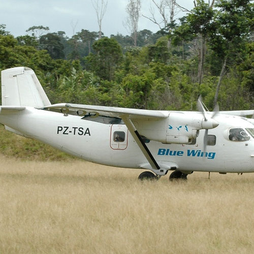 Blue Wing Airlines aircraft 2