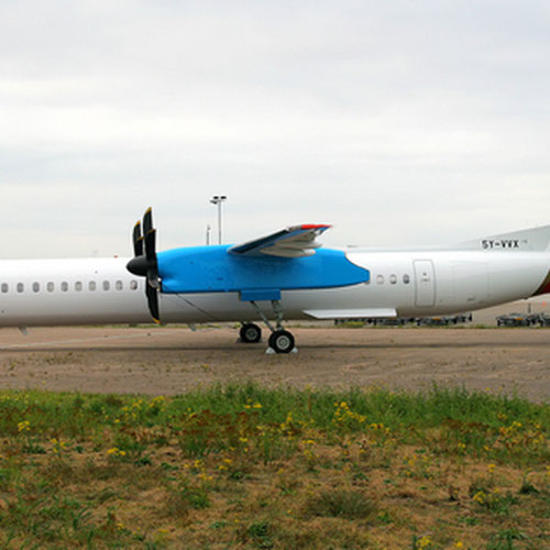 Bluebird Aviation aircraft 3
