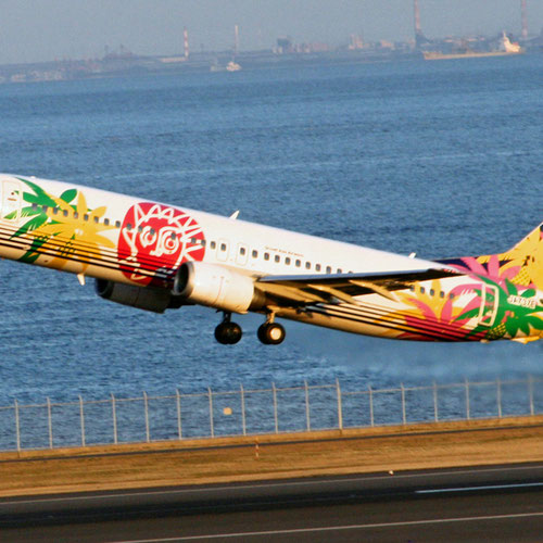 Solaseed Air aeronave 2