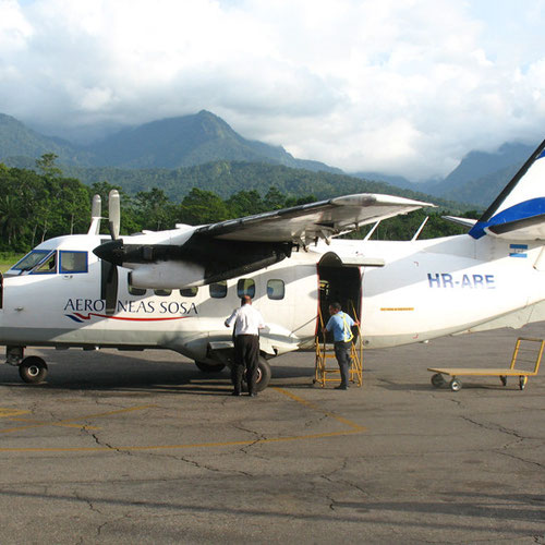 Aerolineas Sosa aeronave 2