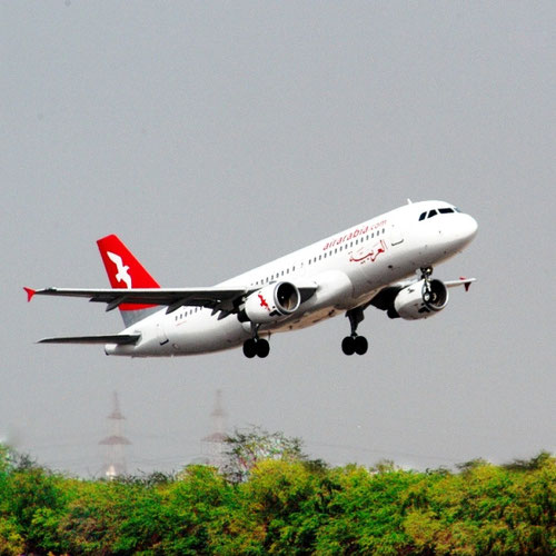 Air Arabia avión 3