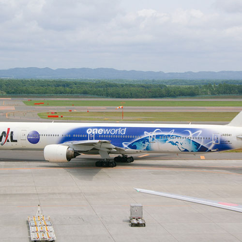 Japan Airlines aircraft 4
