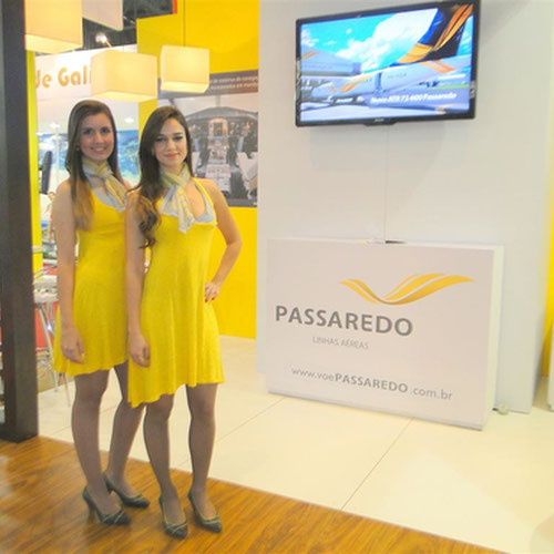 Passaredo Linhas Aereas pesawat 11